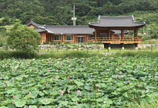 곡성안개마을학교