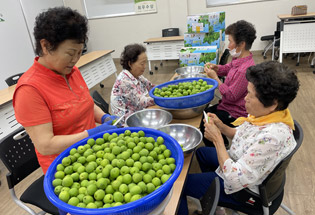 곡성안개마을학교