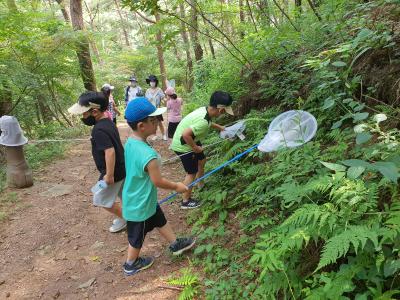 도깨비 숲학교