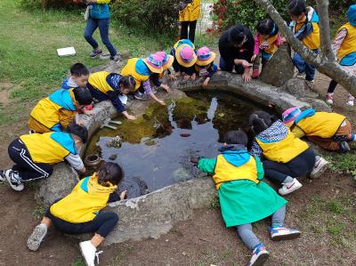 도깨비마을 계절별 숲체험